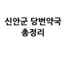 녹십자 약국 | 신안군 당번약국? 일요일·공휴일·토요일 문 여는 약국 총정리!