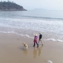 고립낙원 이미지
