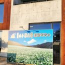 신정호 아리수 메밀막국수 이미지