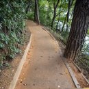 금강산자연사박물관(휴관) | 한국관광공사 추천 생태여행｜회동수원지와 부산인근가볼만한곳