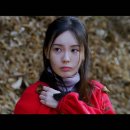 김강일 카카오 검색결과