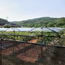 동천2리마을회관 이미지