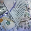"IMF 위기 때와 버금가는 최악의 수준"…환율, 결국 1,520원 넘어 이미지
