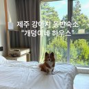 개덩이네 하우스 이미지