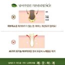 뷰티파크