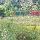 솔향기 가득한 펜션 이미지