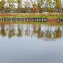 갯골생태공원 이미지