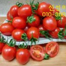 영현농장 이미지