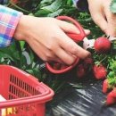 김기성 농장 이미지