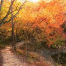 호수길걷기명상 이미지