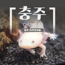 이마트24충주중앙탑점 | 충주 가볼 만한 곳 / 충주 실내 놀거리 여행 명소, 충주 아쿠아리움