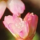 쪽빛하늘 이미지