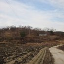 앞동산농장 이미지