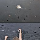 오리언