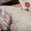 아름이농장 이미지