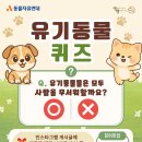 9월 이벤트 _ 유기동물 퀴즈 이미지