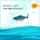참치마찌 - 포항시 남구 효성로 67 | 참치마찌