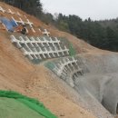 청일중기 이미지