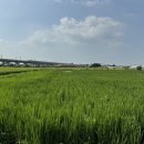 광개토축산