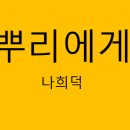 국어의뿌리