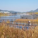 물꽃정원 이미지