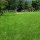 명돌캠프 | 제 1회 가을운동회, 단체 운동 게임 대성공으로 마무리!