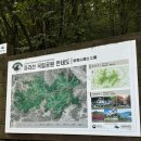 지리산 노고단 등산 최단코스 :: 주차정보 및 정상가는길 예약방법(feat. 구례 아빠김밥포장후기)