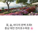 천리포해수욕장(마을회관) | 인생샷 명소! 태안 천리포수목원 수국축제, 방문 팁부터 맛집까지 총정리