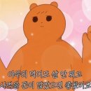 초코25(초코마트) 이미지