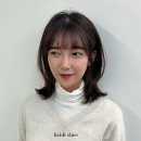 하이디 이미지