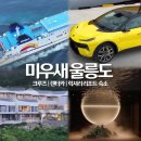 울진카인테리어 | 미우새 울릉도 숙소 호텔 크루즈 자동차 리조트 렌트카 정보
