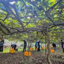 삼동면 동천 이미지