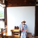 자연을 마시는 우리차 | 서울 북촌 한옥 카페 차 마시는 뜰, 전통차와 힐링 공간