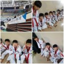 영광 경희대 석사 태권도 이미지