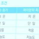 장일농장 | 딸기 화아분화