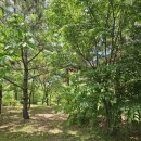 청라국제어린이집 이미지