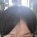 볼륨업-셀프스피커 만들기 | 셀프뿌리볼륨펌 추천)셀헤디 루베 볼륨업 솔루션 뿌리볼륨펌 세트 사용후기 홈케어 추천