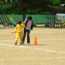 다압초등학교 Daum카페