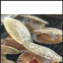 조개구이 이미지