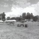 낙동초등학교 이미지