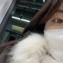 미스터피자 동래점 이미지