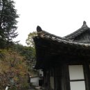 삼성카 이미지