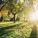 주식회사 호반건설 이미지