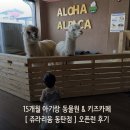 동탄푸른어린이집 | 동탄 오산 15개월 아기랑 갈만한 곳_쥬라리움 동탄점 평일 오픈런 후기