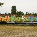 샐비아플라워