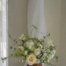 바즈플라워 이미지