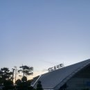 흰바위로R | 행복비키 ☘️ 도쿄 여행기 #1