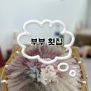 부부횟집 | <부산/기장> 기장 교리 현지인 맛집 부부횟집 내돈내산 후기