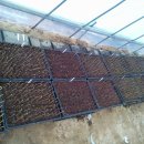 태안목장 이미지