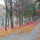 머루네건강원 이미지